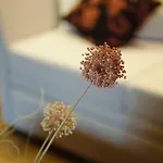 Hotel Levidi Suites Levídhion