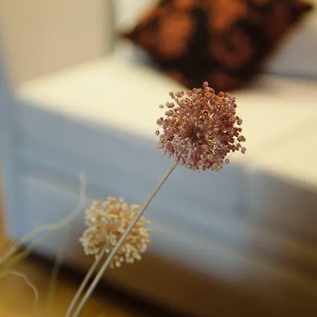 فندق Levidi Suites Levídhion