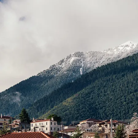 Levidi Suites ホテル 4*