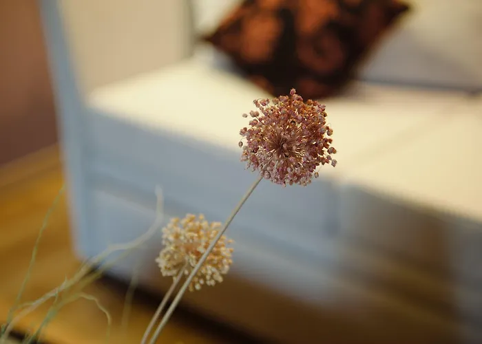 호텔 Levidi Suites Levídhion